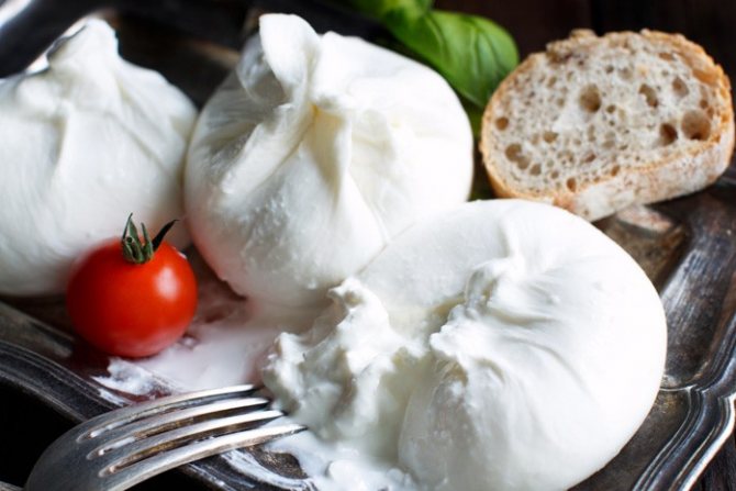 Appetizing burrata cheese with tomato and bread