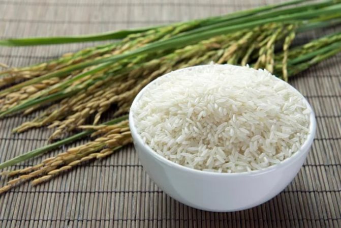 Dietary rice dishes
