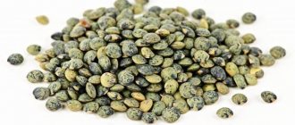French Puy lentils