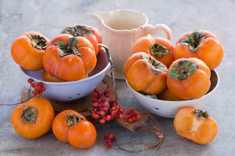 persimmon calories for weight loss