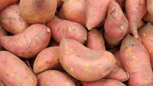 How to choose a sweet potato