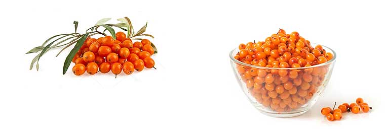 What is the calorie content of sea buckthorn?