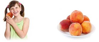 Какая калорийность персика?