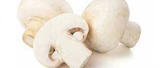 What is the calorie content of champignons?
