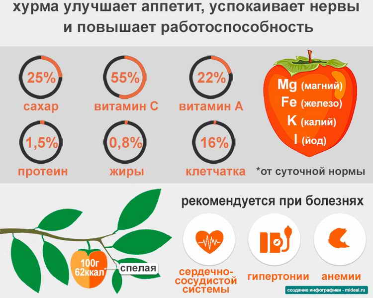 calorie value of king persimmon in 100 grams