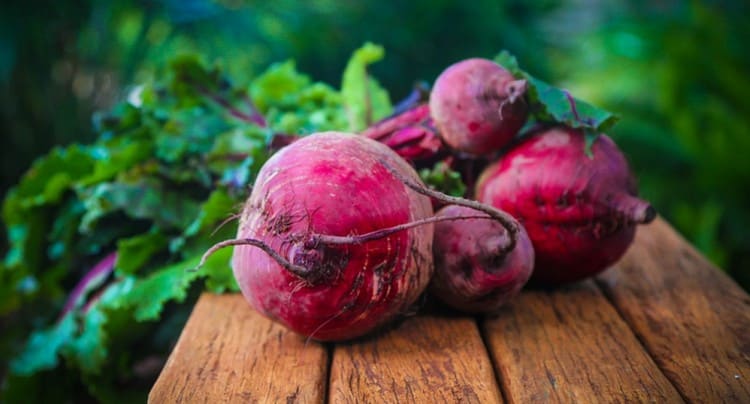 Calorie content per 100 g of beets depends on the method of its preparation.