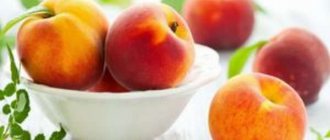 Консервированные персики польза и вред