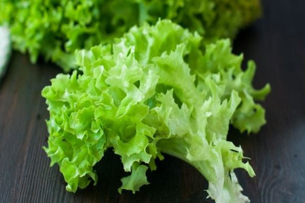 Lettuce leaf beneficial properties and contraindications
