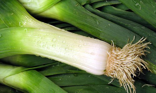 What part of leek is eaten, how to use it for food