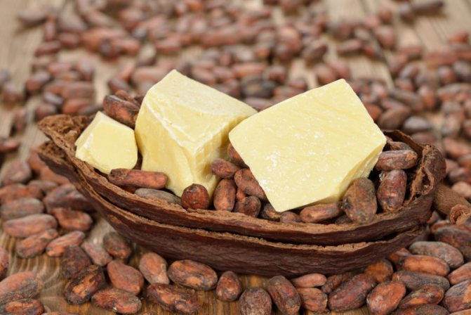 cacao butter
