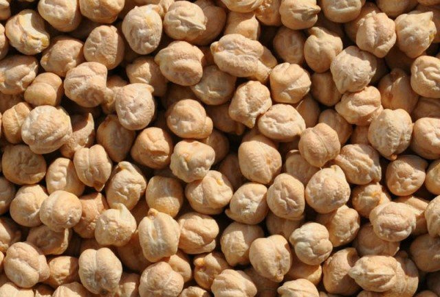 Chickpeas: benefits and harm for the body; chickpea recipes