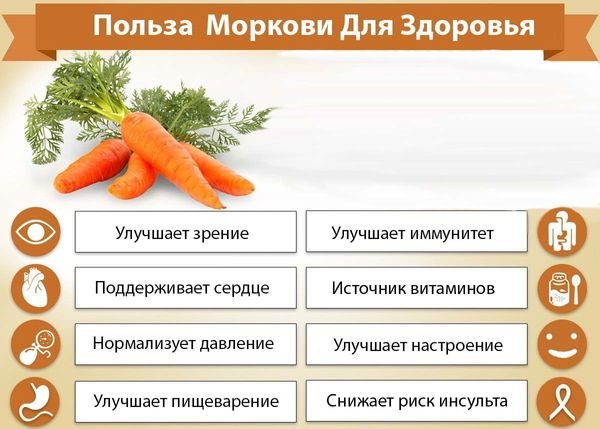 Vegetable stew. Calorie content per 100 grams, BZHU, how to eat on a diet 
