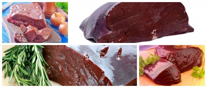 Beef liver benefits for humans