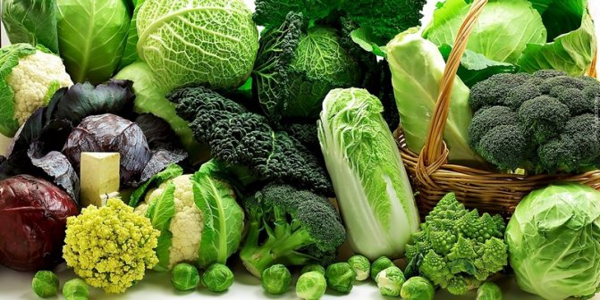 Beijing cabbage for weight loss: benefits, harm, calories