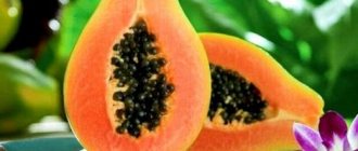 Полезные свойства папайи
