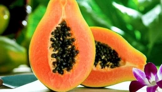 Useful properties of papaya