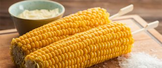 Польза и вред вареной кукурузы