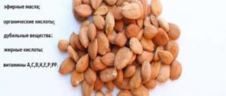 The benefits and harms of apricot kernels