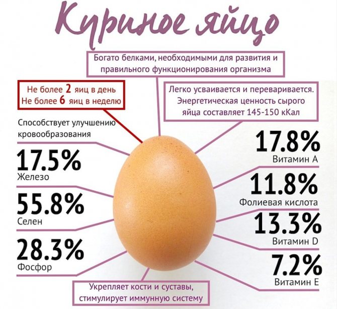 benefits of chicken eggs