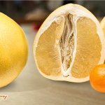 помело-и-мандарин