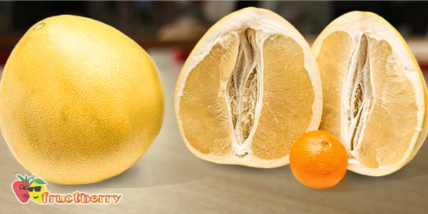 pomelo-and-tangerine