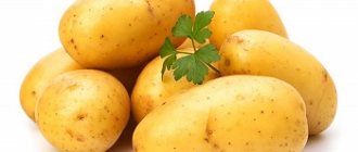 Правила выбора качественных продуктов - картофель и его полезные свойства