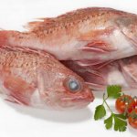 рыба морской окунь польза и вред