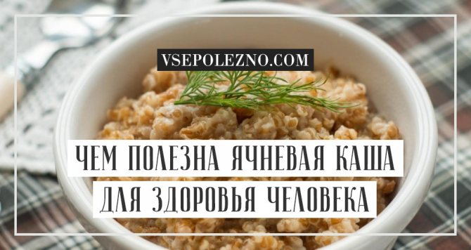 How many kcal are in barley porridge with water?