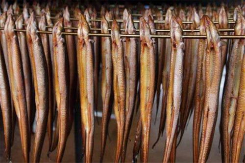 Cold smoked eel in the process of cooking
