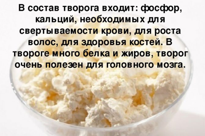 Dumplings with cottage cheese. Calorie content per 100 grams, 1 piece, BJU. Recipes with kefir, milk, whey, sour cream 