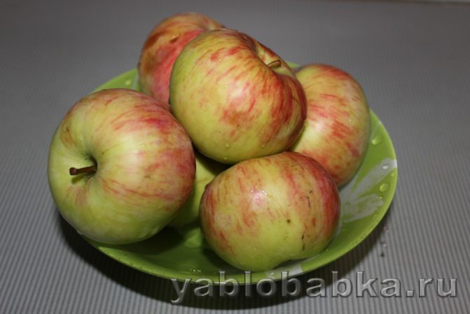 Яблочные чипсы в духовке: фото 1