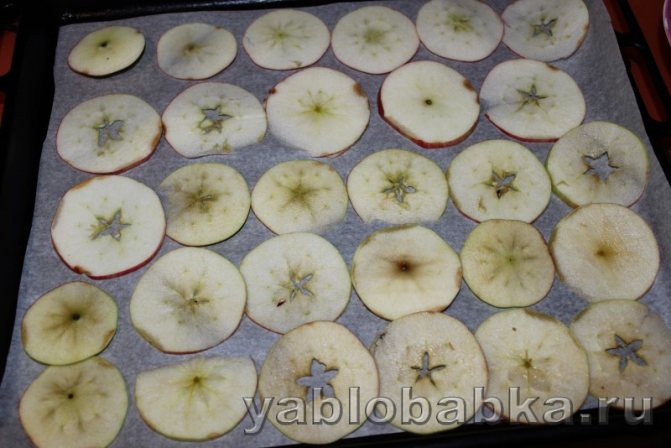 Яблочные чипсы в духовке: фото 4