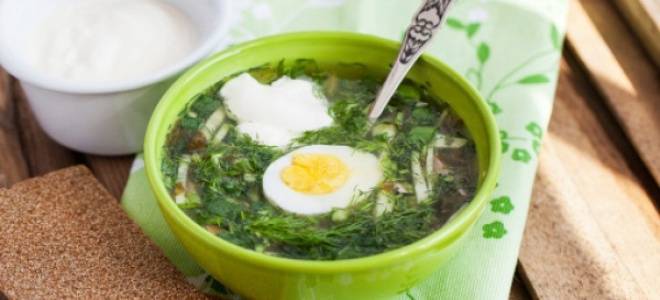 Green cabbage soup with sorrel and egg - recipe
